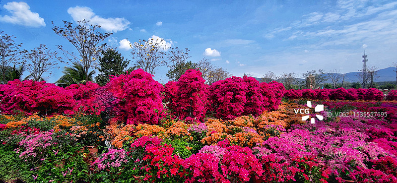 海南昌江聚源花卉博览园图片素材