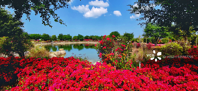 海南昌江聚源花卉博览园图片素材