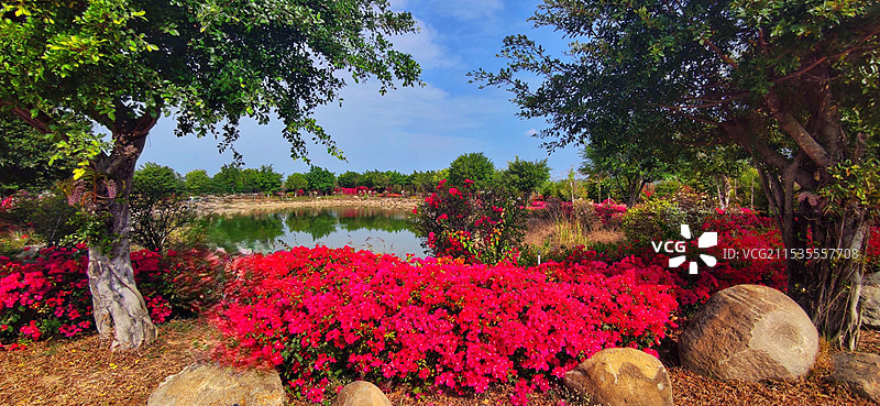海南昌江聚源花卉博览园图片素材