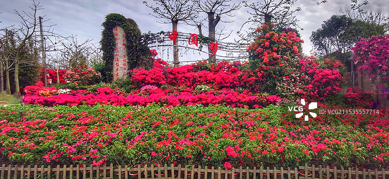 海南昌江聚源花卉博览园图片素材