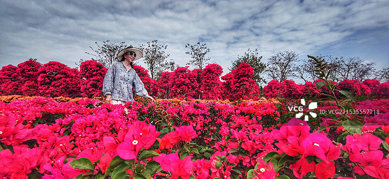 海南昌江聚源花卉博览园图片素材