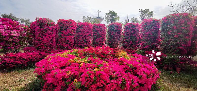 海南昌江聚源花卉博览园图片素材
