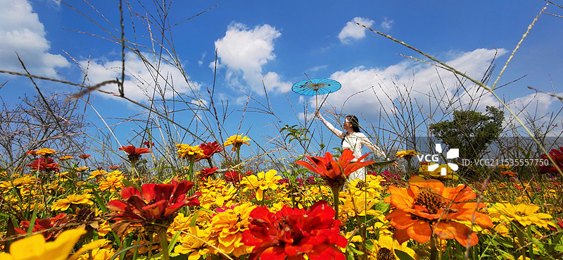海南昌江聚源花卉博览园图片素材