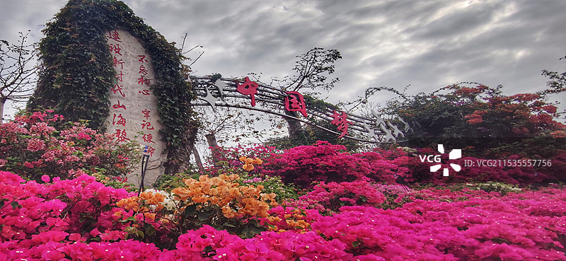 海南昌江聚源花卉博览园图片素材