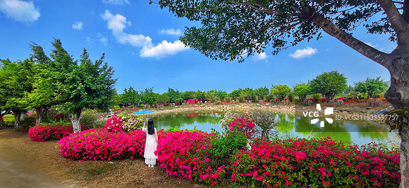 海南昌江聚源花卉博览园图片素材