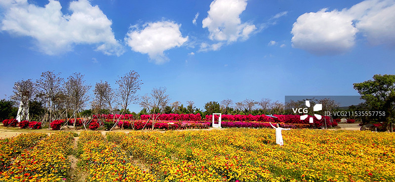 海南昌江聚源花卉博览园图片素材