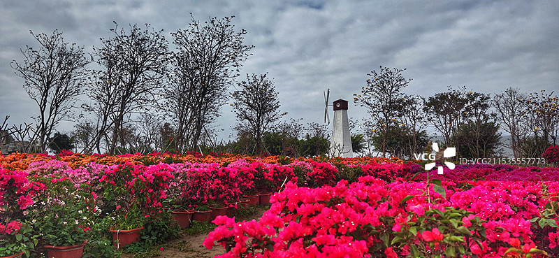 海南昌江聚源花卉博览园图片素材