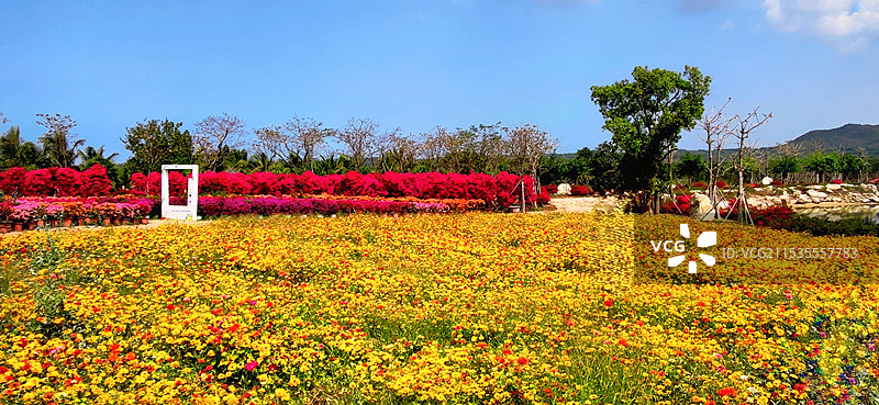 海南昌江聚源花卉博览园图片素材