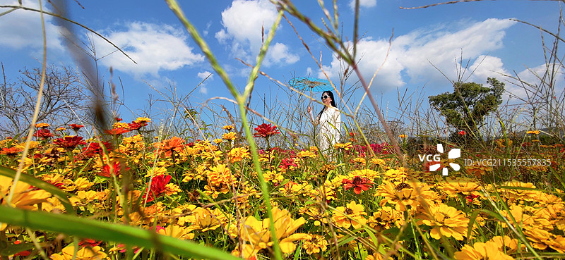 海南昌江聚源花卉博览园图片素材