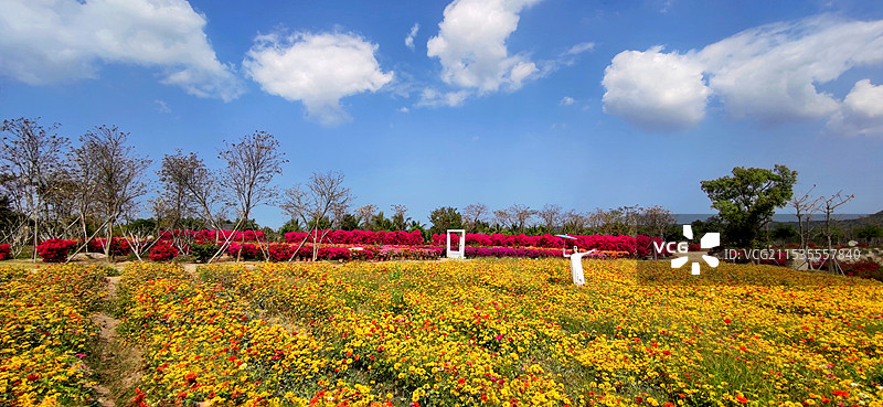 海南昌江聚源花卉博览园图片素材