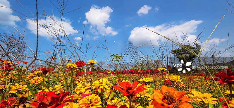 海南昌江聚源花卉博览园图片素材