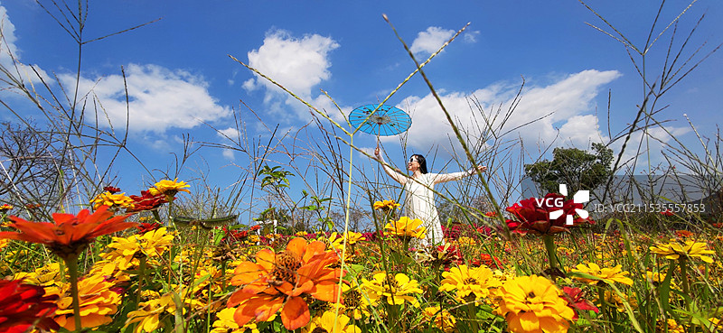 海南昌江聚源花卉博览园图片素材