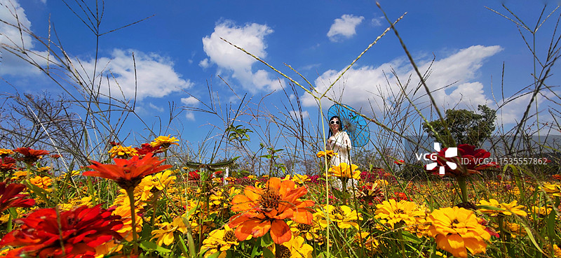 海南昌江聚源花卉博览园图片素材