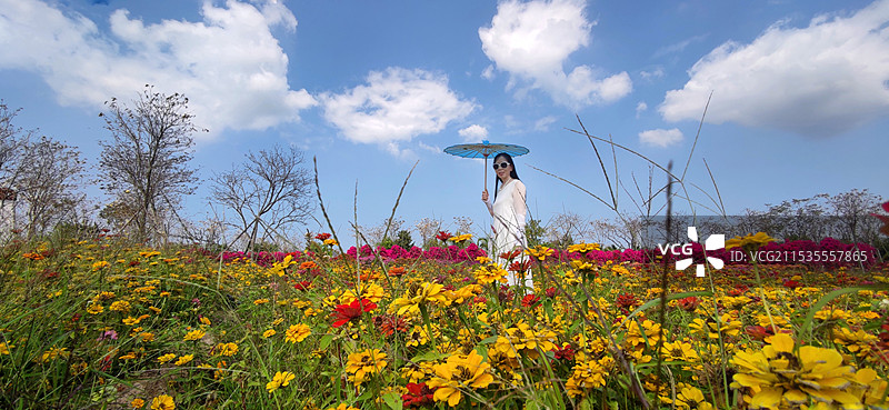 海南昌江聚源花卉博览园图片素材