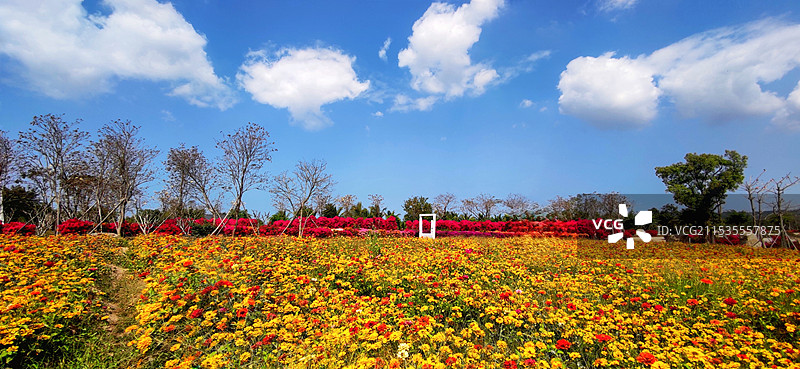 海南昌江聚源花卉博览园图片素材