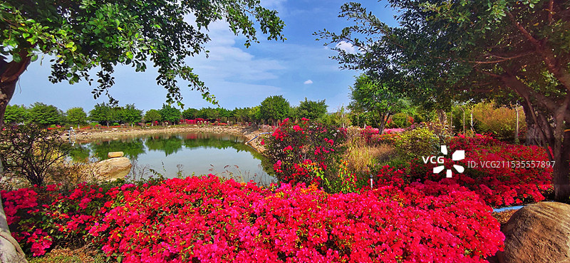 海南昌江聚源花卉博览园图片素材