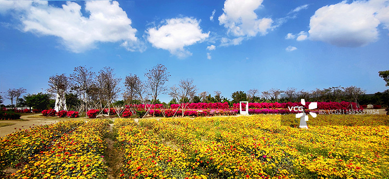 海南昌江聚源花卉博览园图片素材
