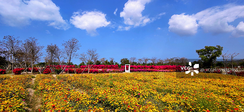 海南昌江聚源花卉博览园图片素材