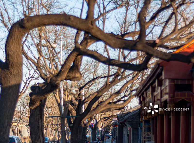 北长街冬天街景图片素材