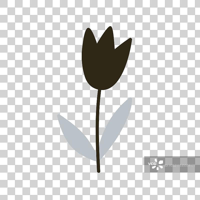 简单的花卉：郁金香花朵与叶子盛开图片素材