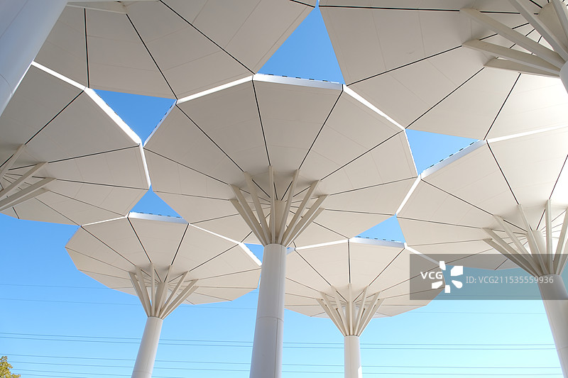 楚雄路域生物多样性科普示范园图片素材