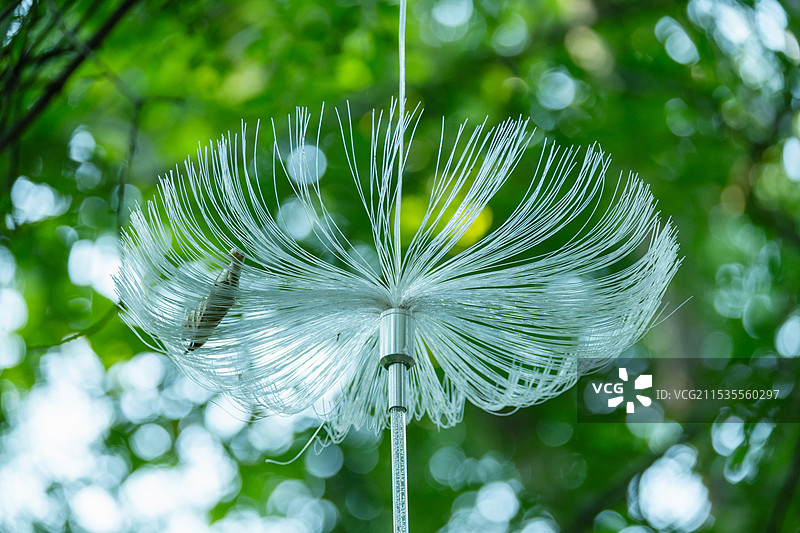 光纤灯水母灯特写镜头，绿色背景图片素材