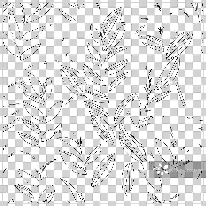 火鹤花图案轮廓草图图片素材