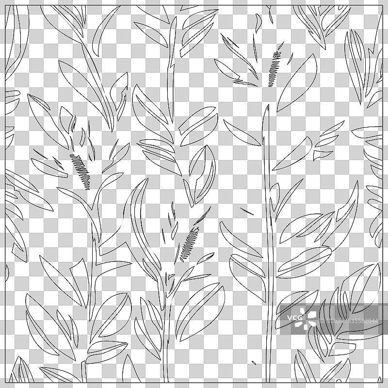 火鹤花图案轮廓草图图片素材