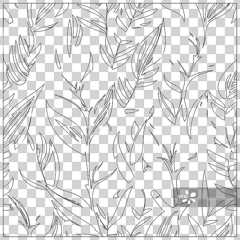 火鹤花图案轮廓草图图片素材