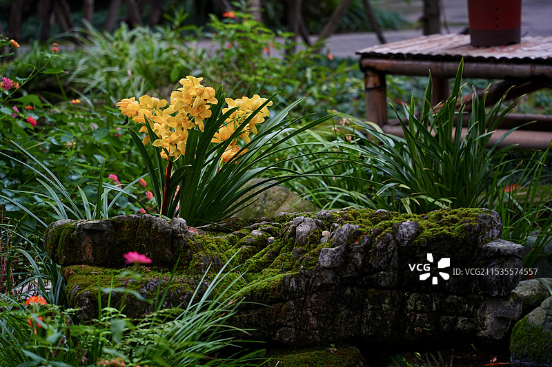 杜甫草堂图片素材