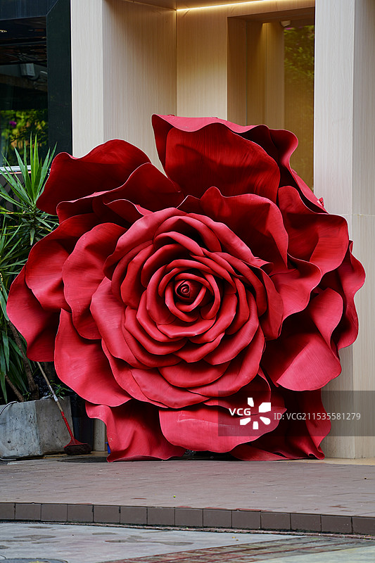 成都东郊记忆玫瑰图片素材