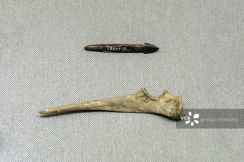 骨镞、骨锥 后李文化 章丘小荆山遗址出土 济南市考古研究所提供 济南市博物馆藏图片素材