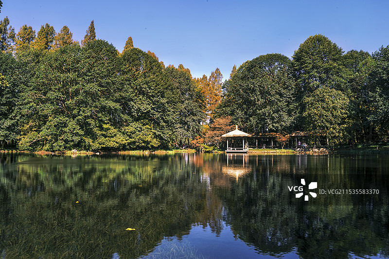 杭州太子湾公园的秋色图片素材