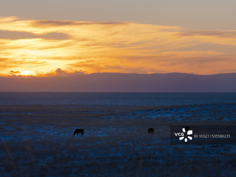 冬季草原牧场图片素材