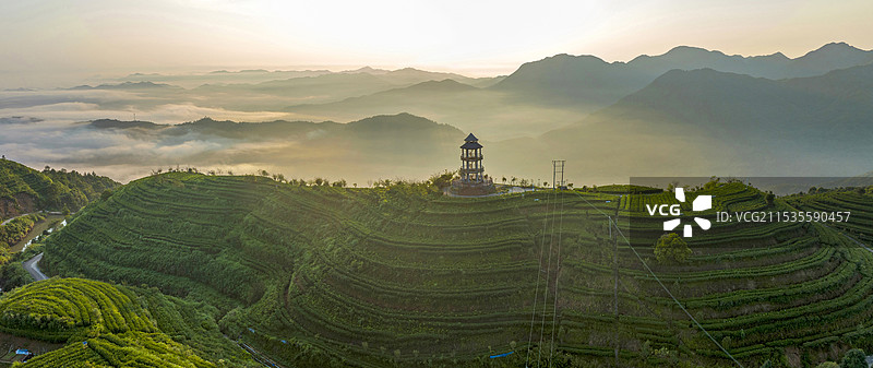 茶山晨韵图片素材