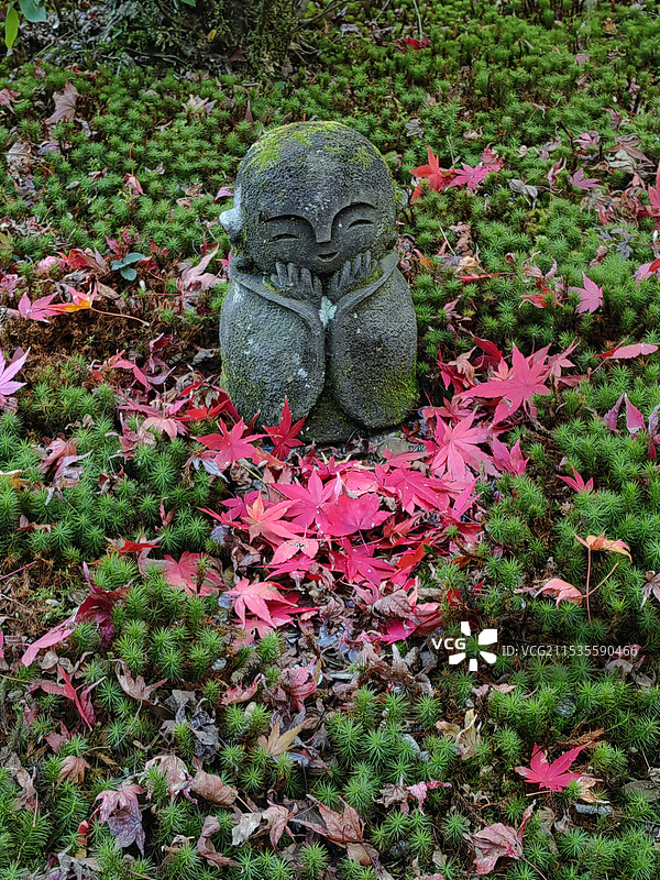 日本京都圆光寺的小佛图片素材