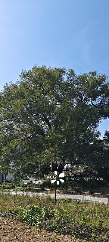 上饶婺源李坑景区图片素材