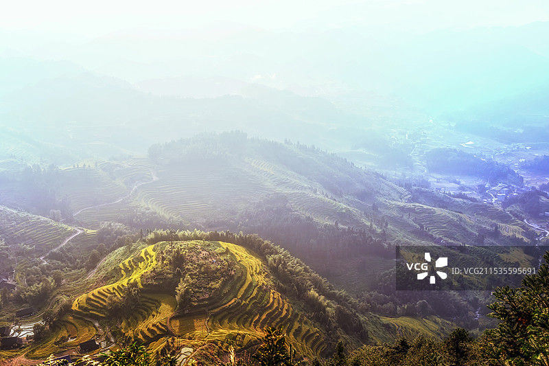 晨曦下的紫雀界梯田图片素材