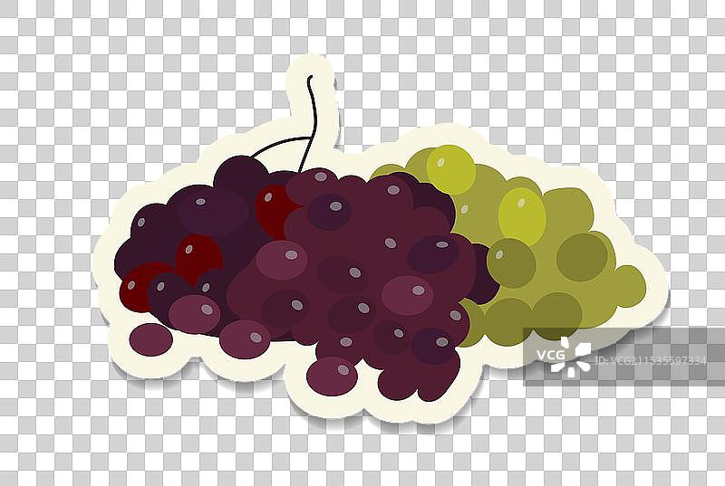 葡萄酒节贴纸，红色和绿色葡萄图片素材