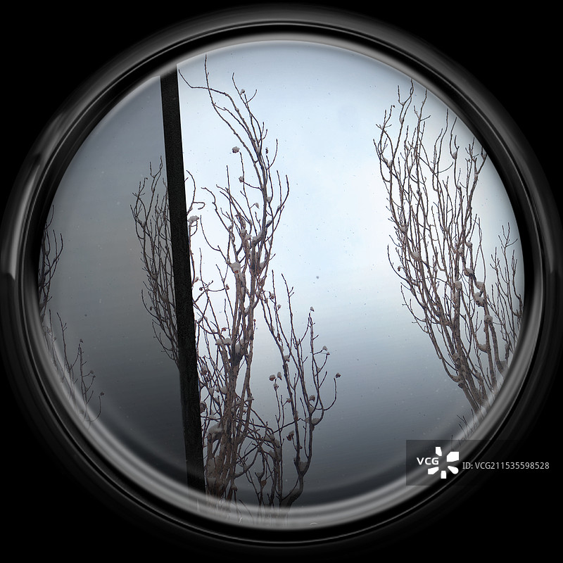 窗外的树图片素材