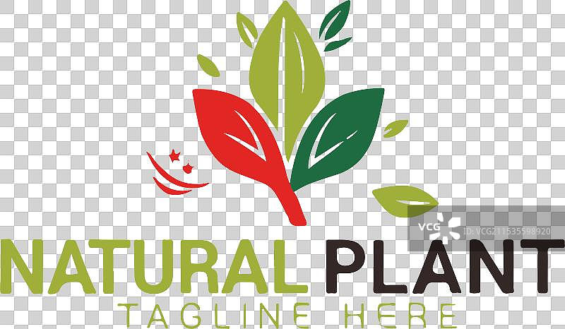 叶子标志剪影艺术图片素材