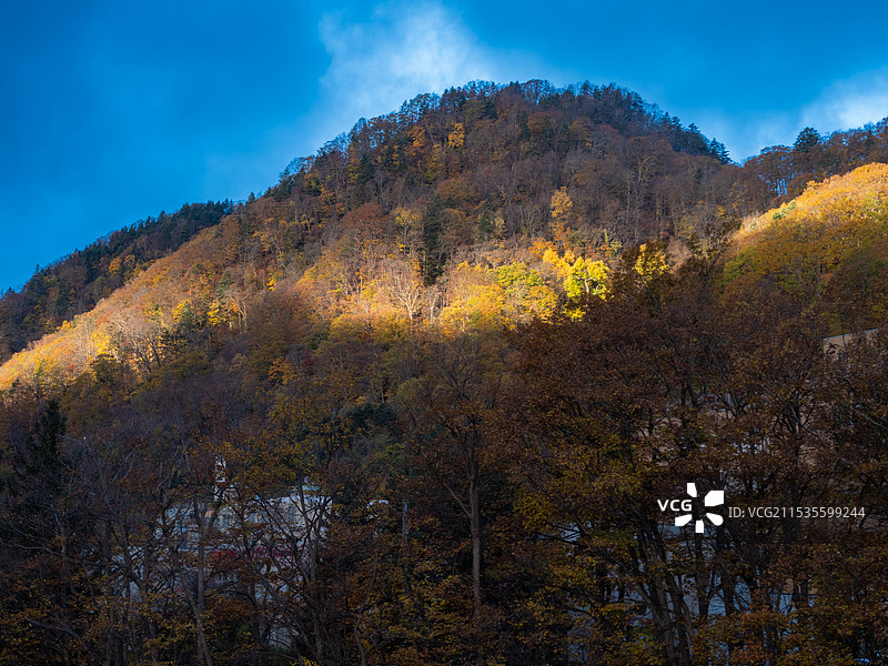 定山溪秋色图片素材