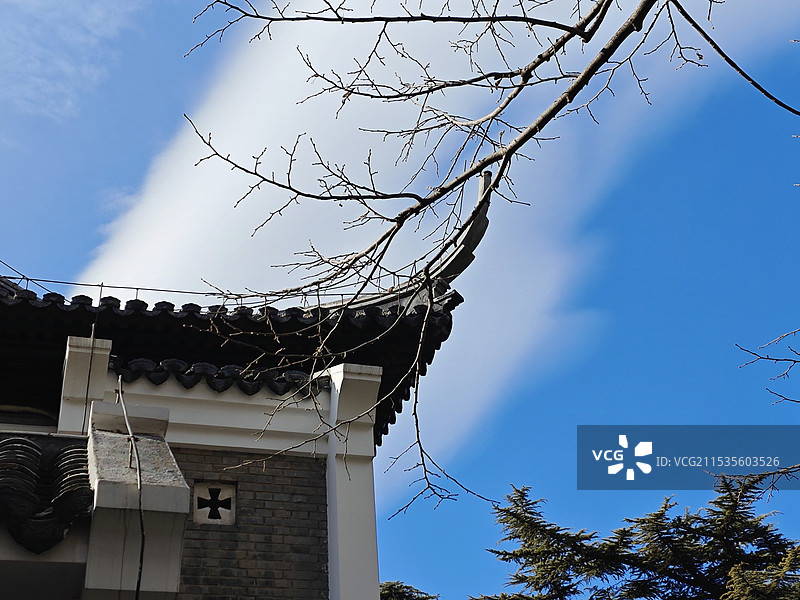 紫竹院公园古建、树与蓝天白云图片素材