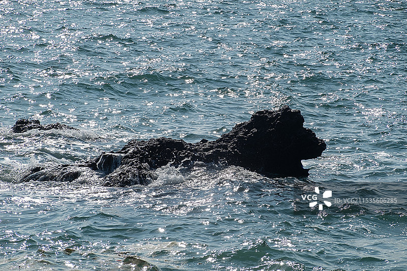 雄狮之吼图片素材