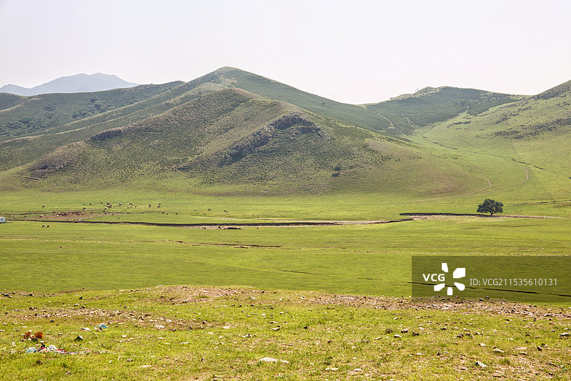 扎鲁特旗山地草原景观图片素材