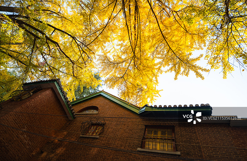 百十湘雅｜中南大学湘雅办学110周年庆图片素材