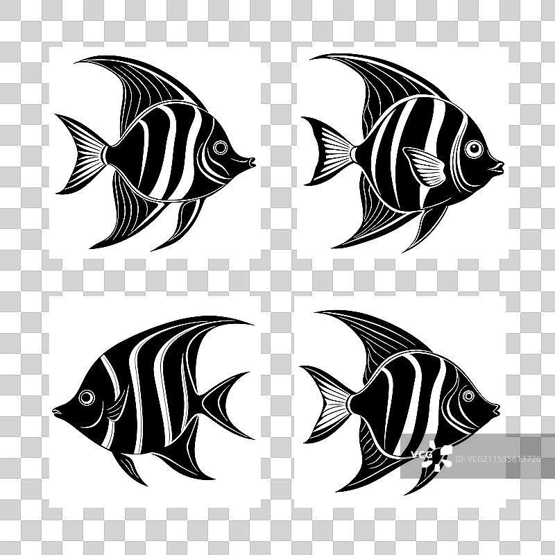 四种不同的天使鱼剪影图片素材
