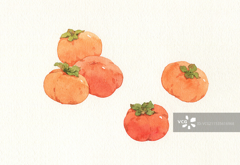 水彩手绘柿子图片素材