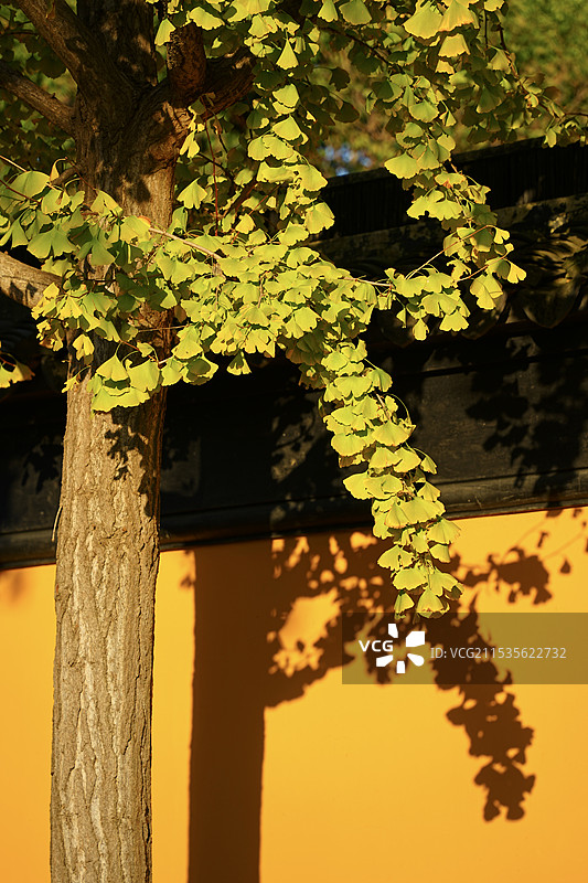 苏州西园寺图片素材