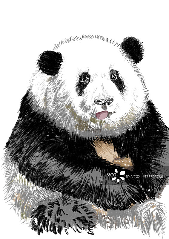 熊猫花花图片素材